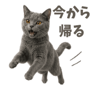 029