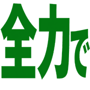 031