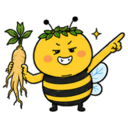 004