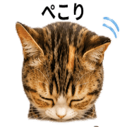 005