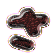 011
