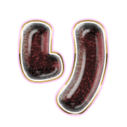 040