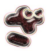061