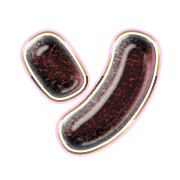 095