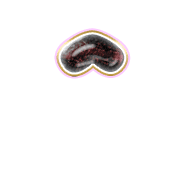 231