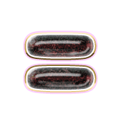 239