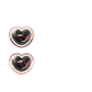 244