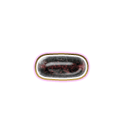 251