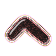 029