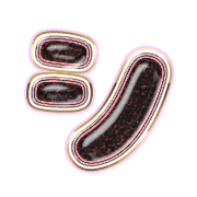 092