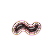 224