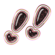 268
