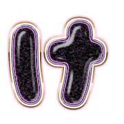 009