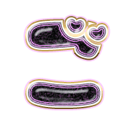 060
