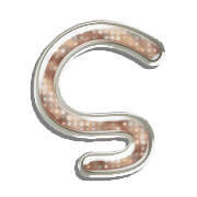 019