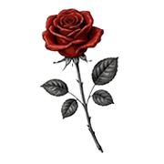 008