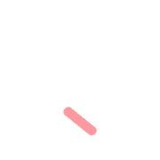 256