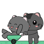 016