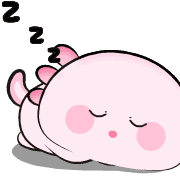 029
