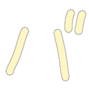 151