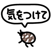 003