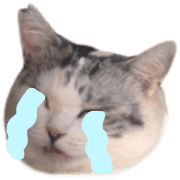 014