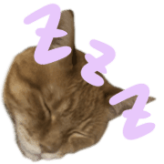 019