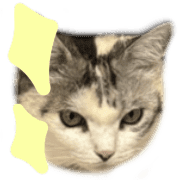 022