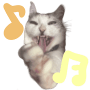 025