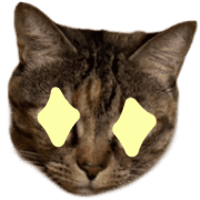 034