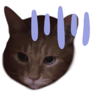 036