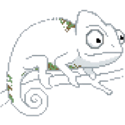 019