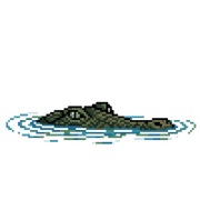 029