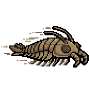 029