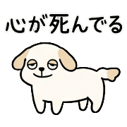 005