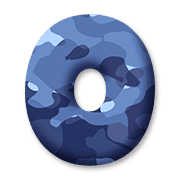 031