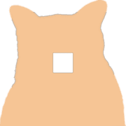 253