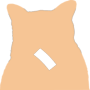 256