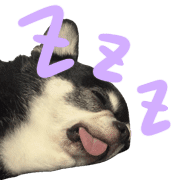 009