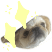 011