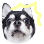 015