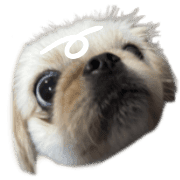020