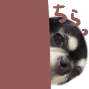 029