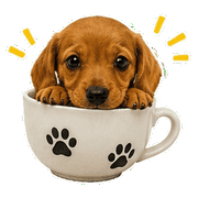 029