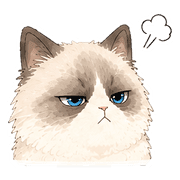 008