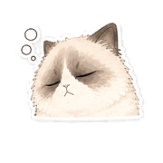 011