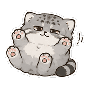 009