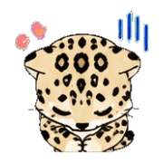 009