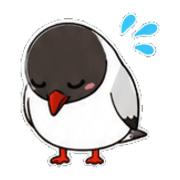 009