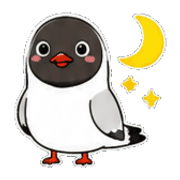 003